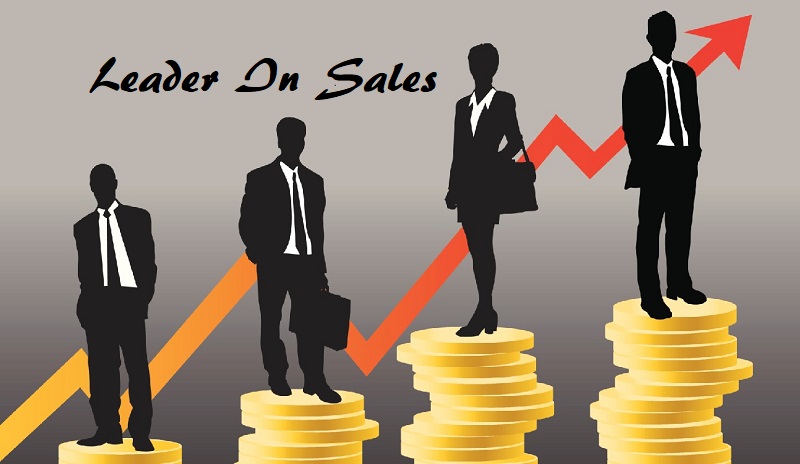 Why do you need a leader in sales management?