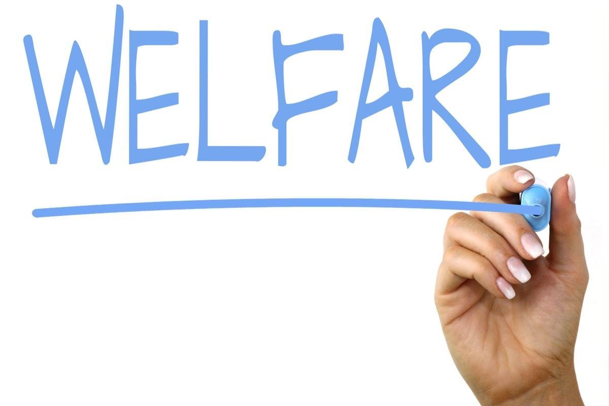 Welfare manager: A new professional figure